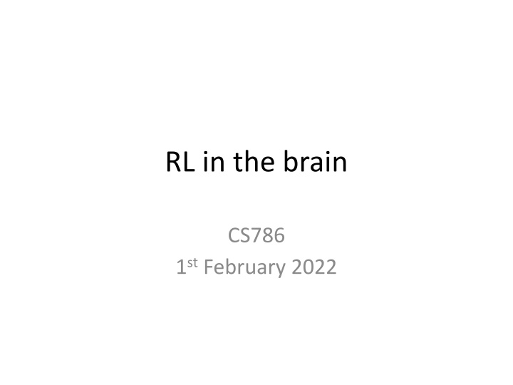 rl in the brain