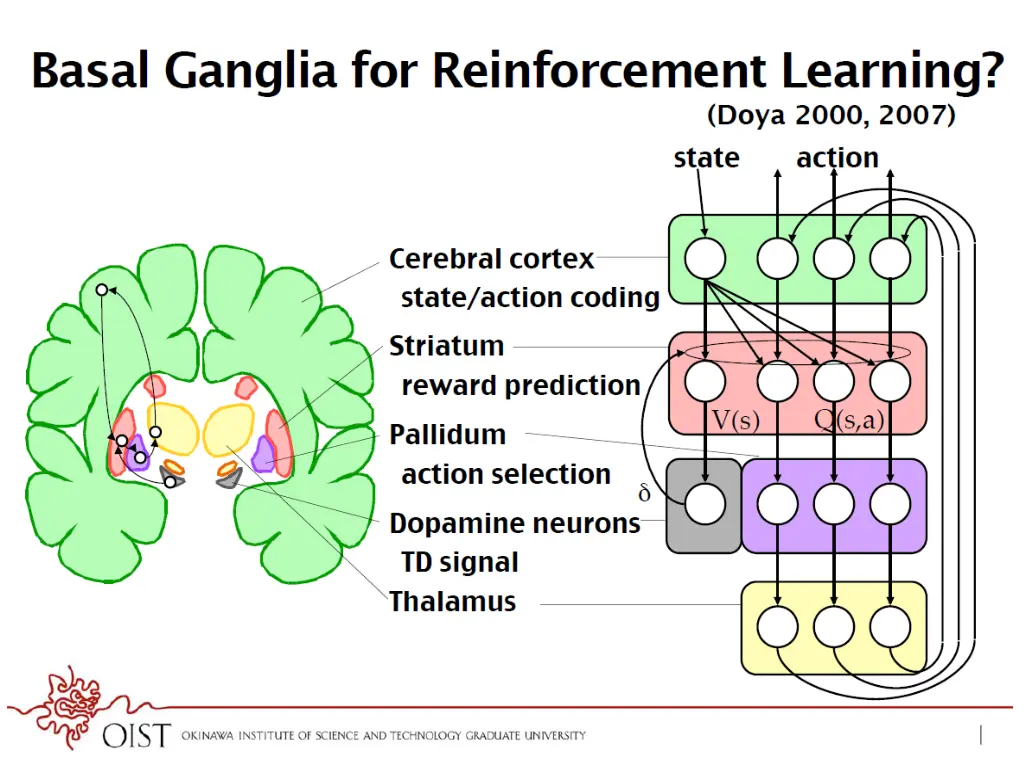 slide8