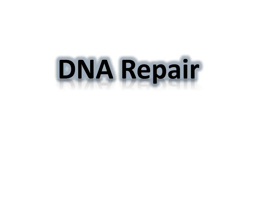 dna repair