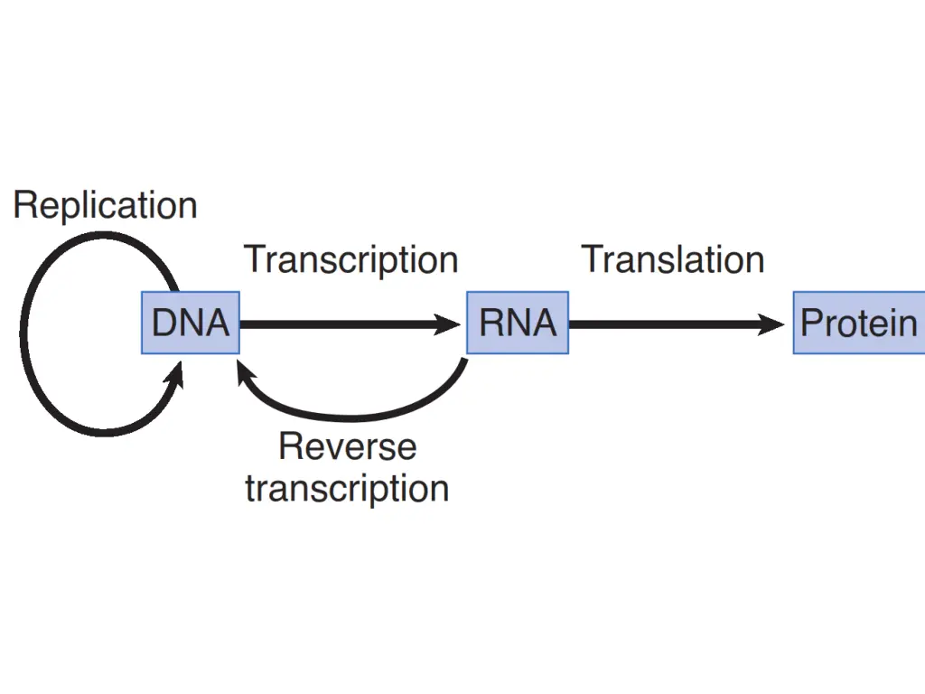 slide3