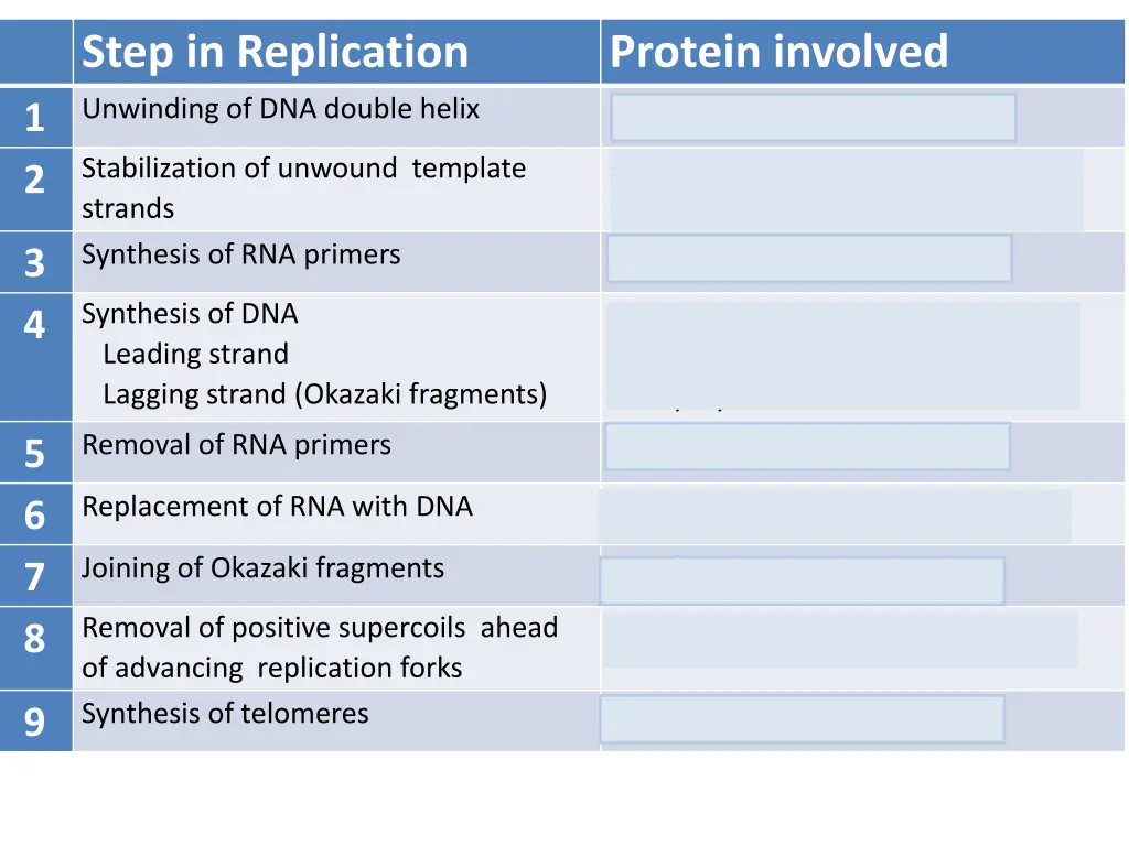 step in replication unwinding of dna double helix