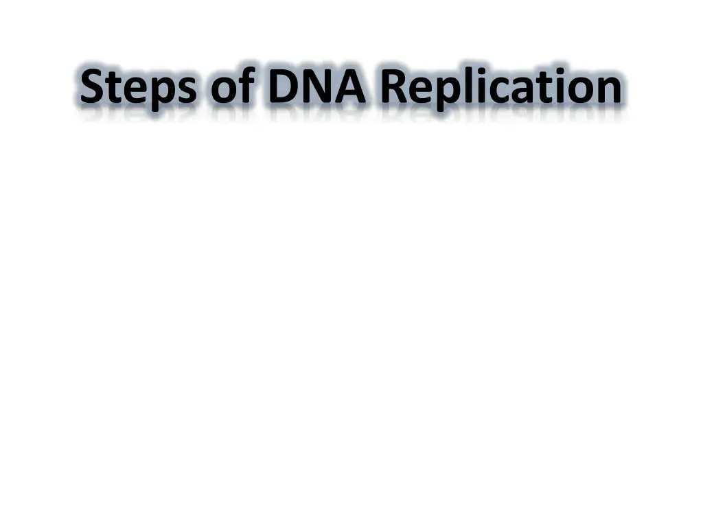 steps of dna replication