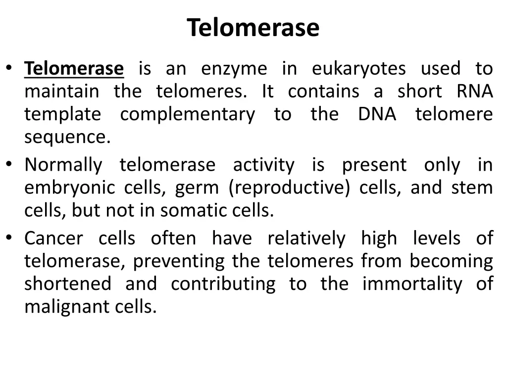 telomerase