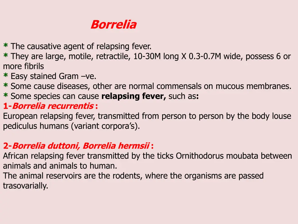 borrelia