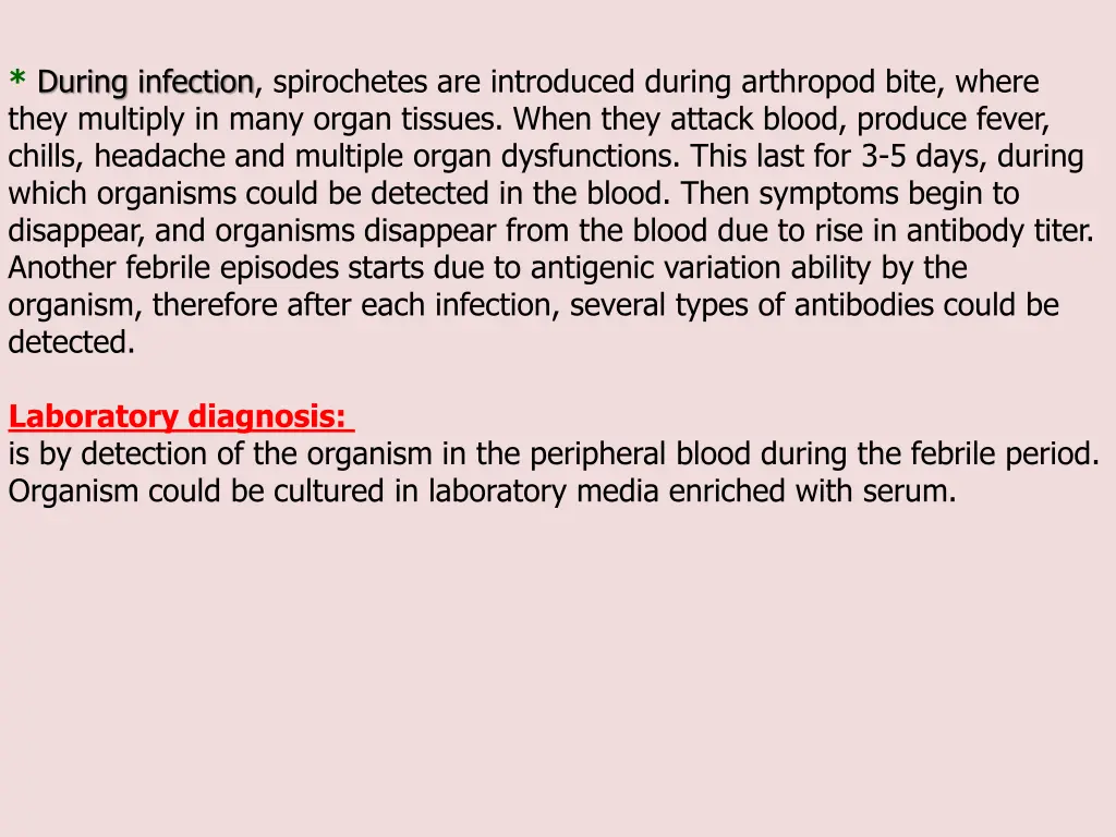 during infection spirochetes are introduced