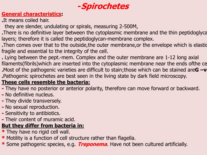 spirochetes