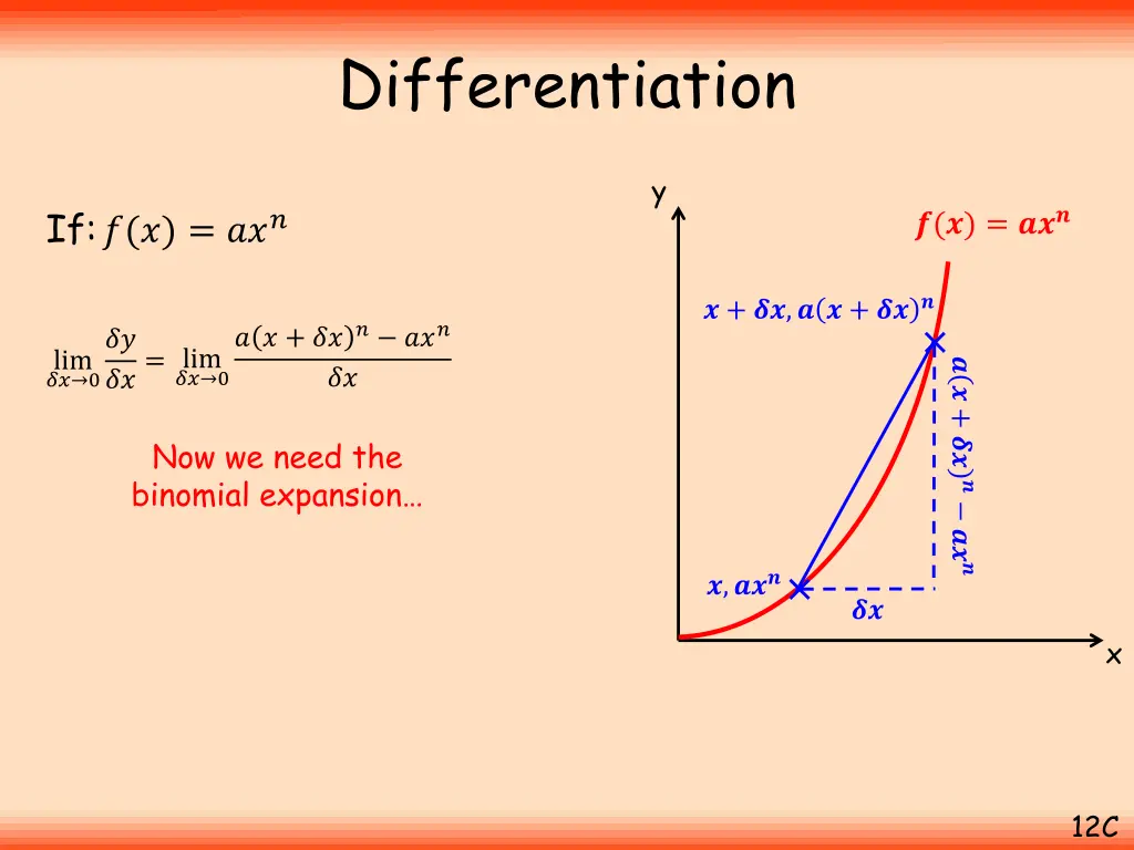 differentiation 19