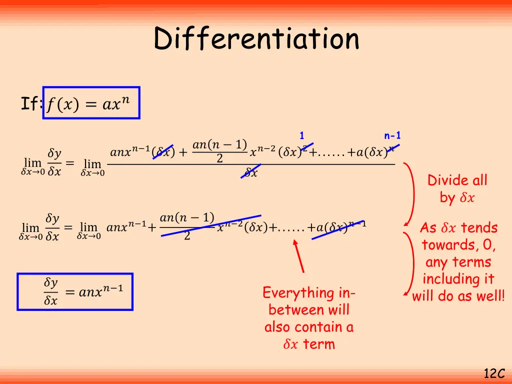 differentiation 22