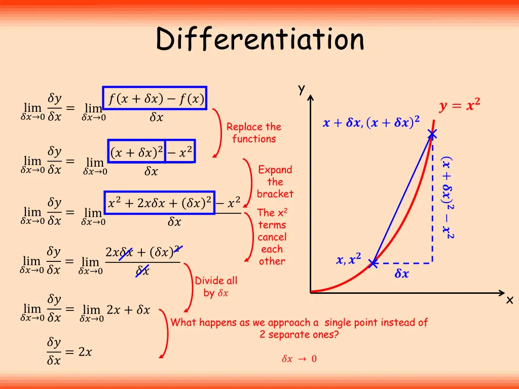 differentiation 4
