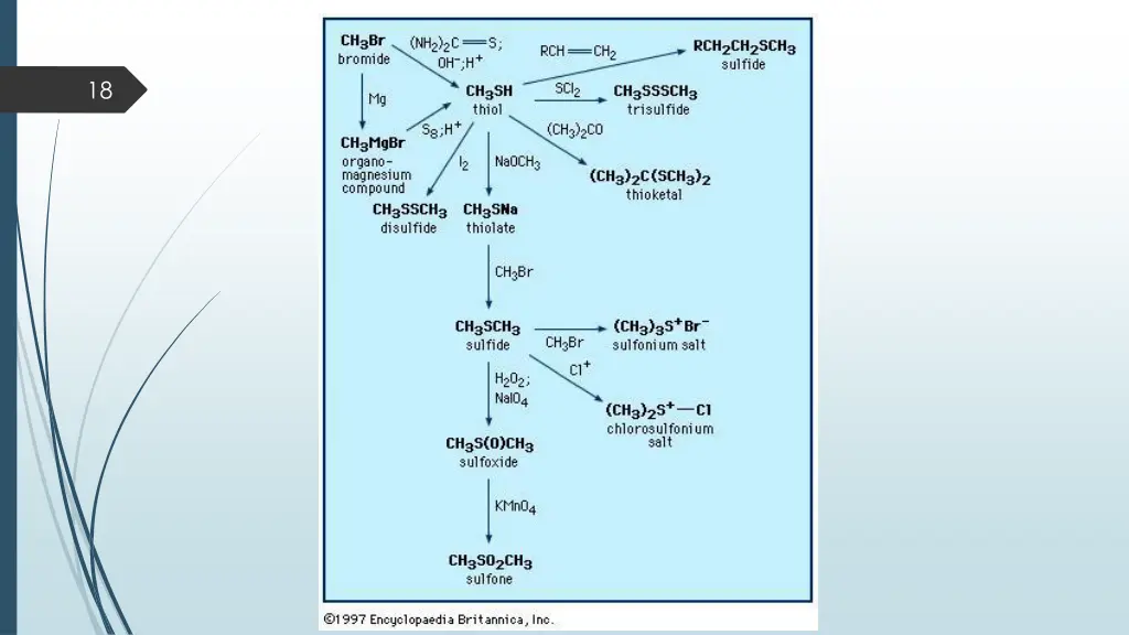 slide18