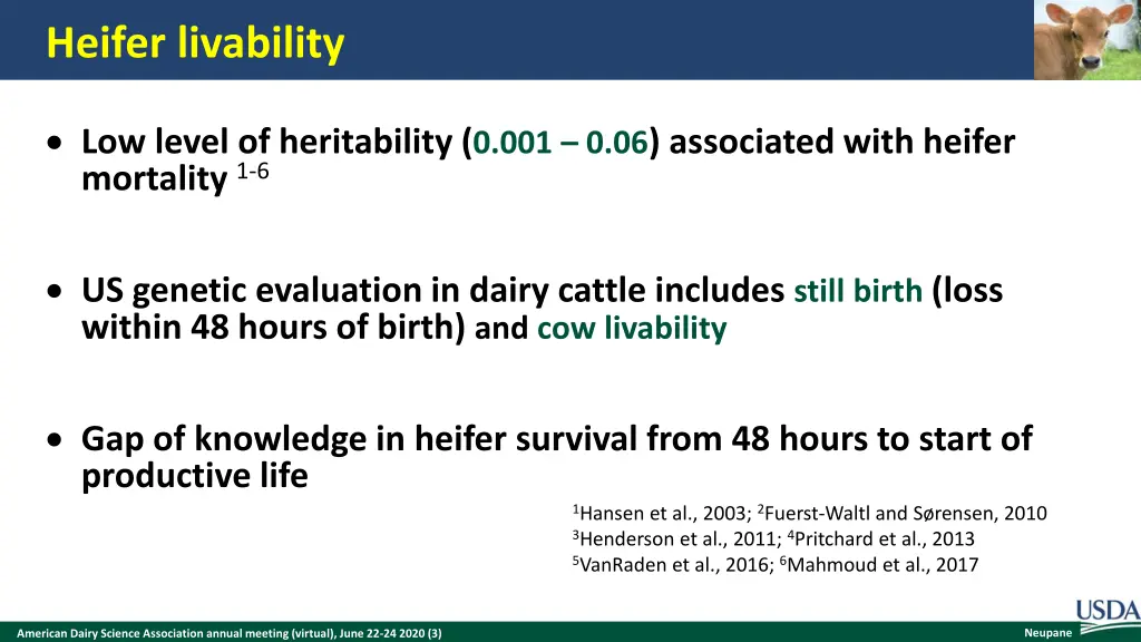 heifer livability