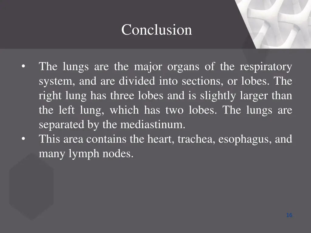 conclusion