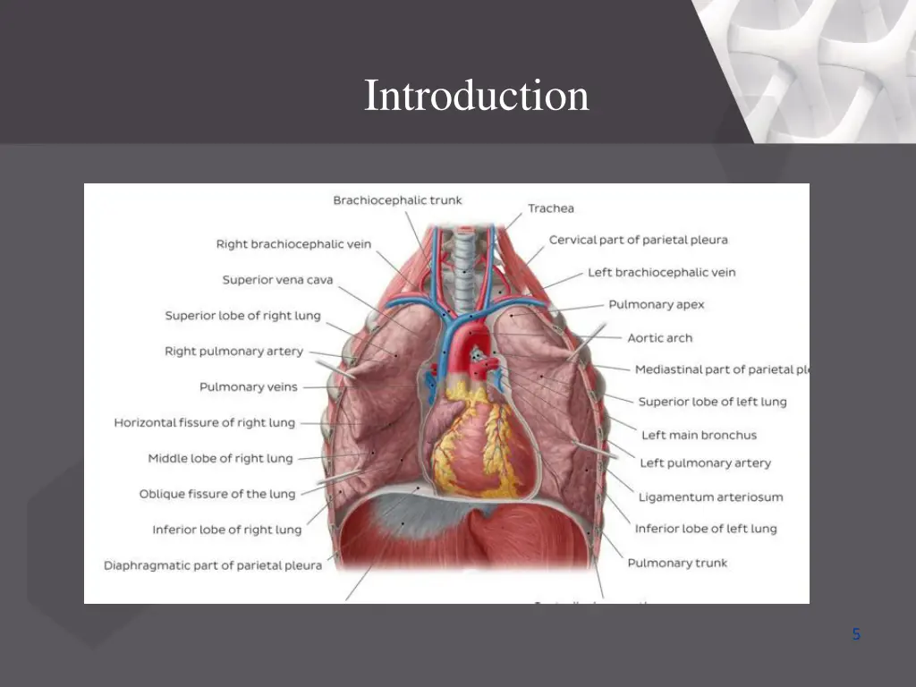 introduction 2