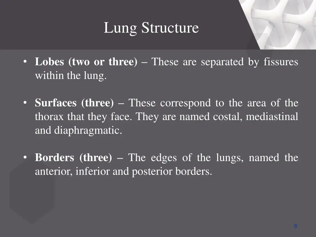 lung structure 1