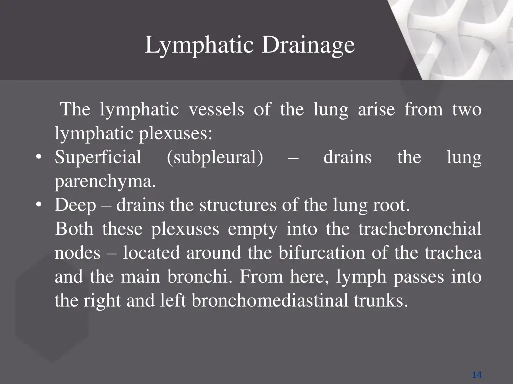 lymphatic drainage