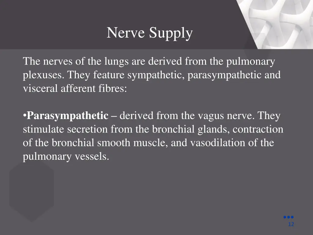 nerve supply