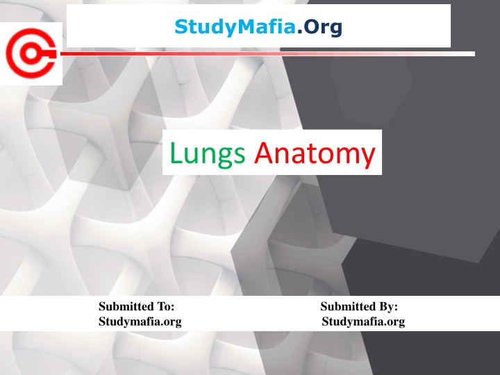 studymafia org