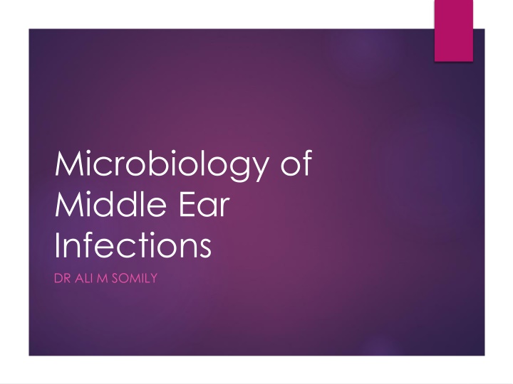 microbiology of middle ear infections