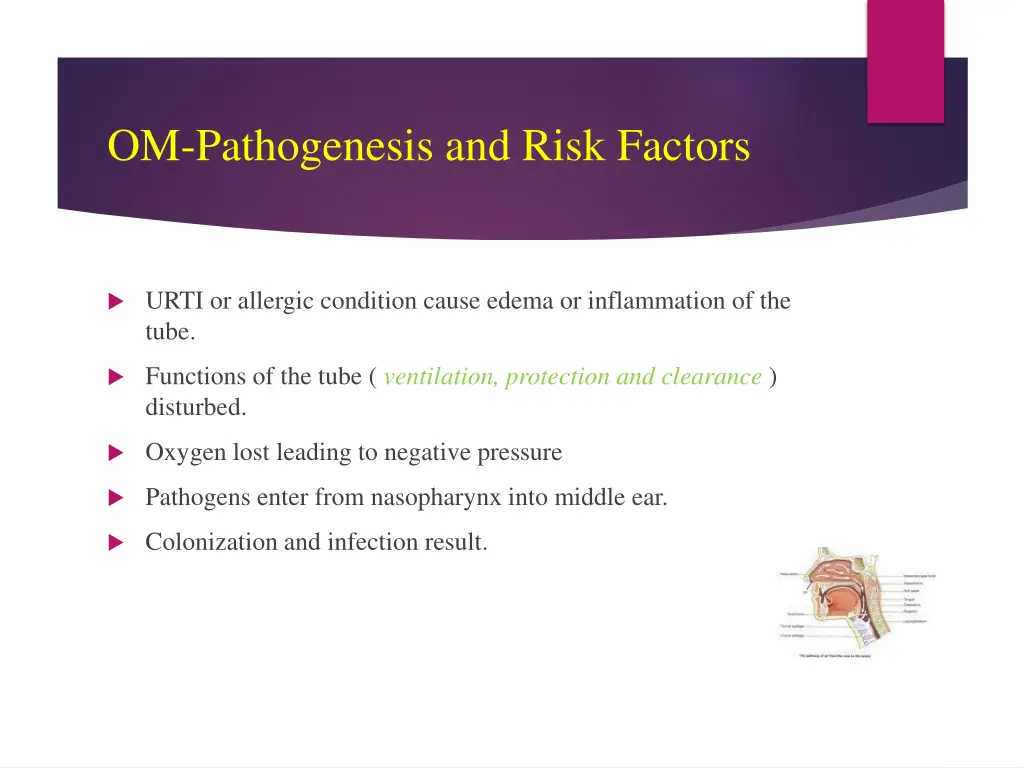 om pathogenesis and risk factors