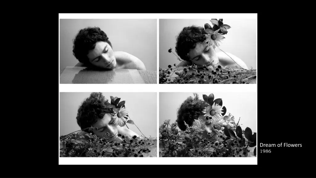 dream of flowers 1986