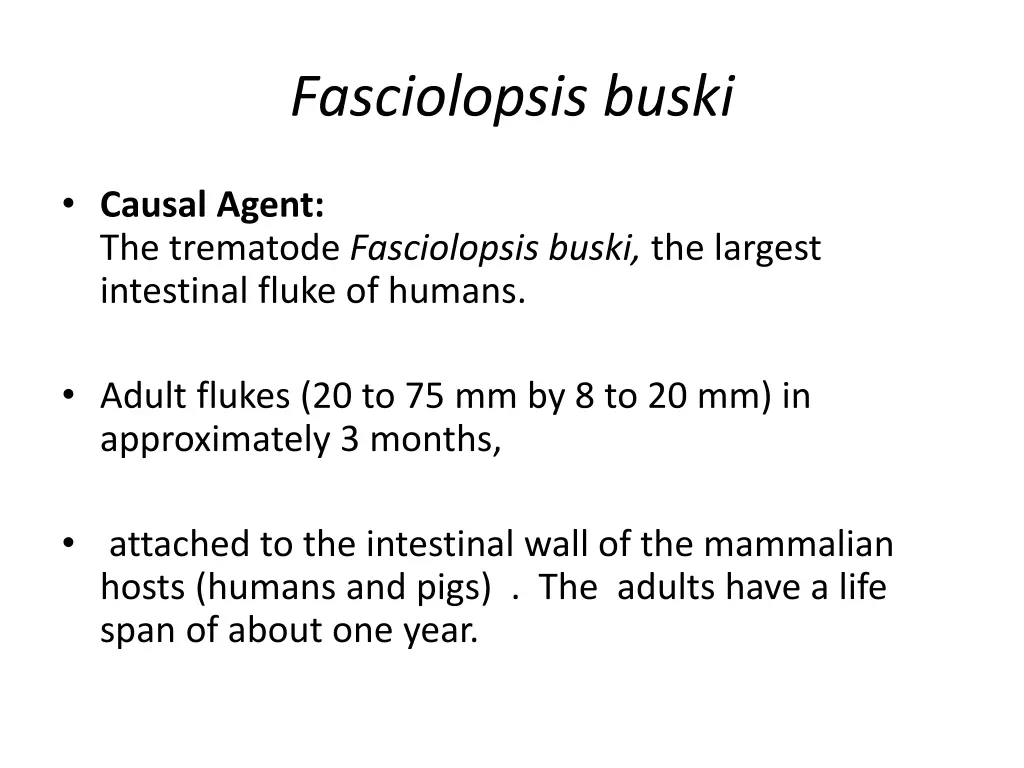 fasciolopsis buski