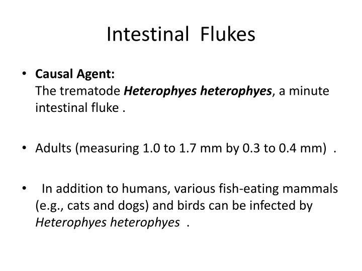 intestinal flukes