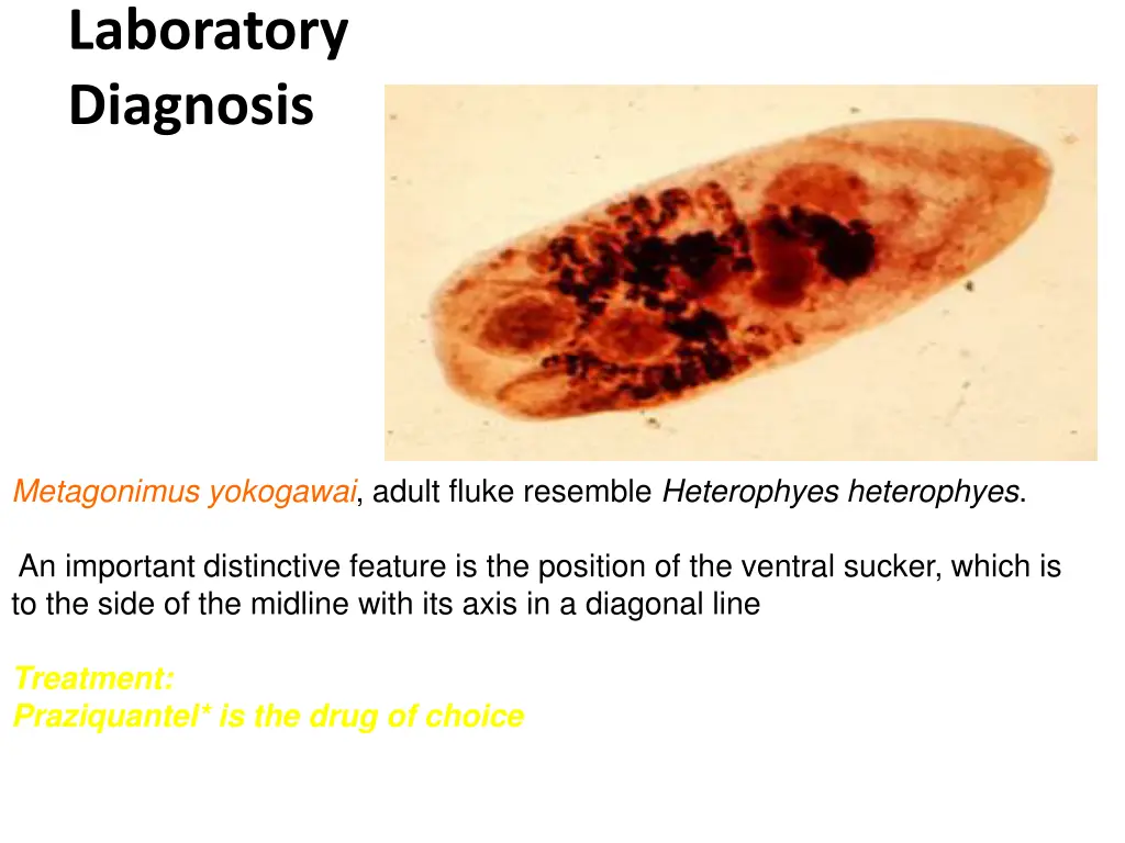 laboratory diagnosis 2