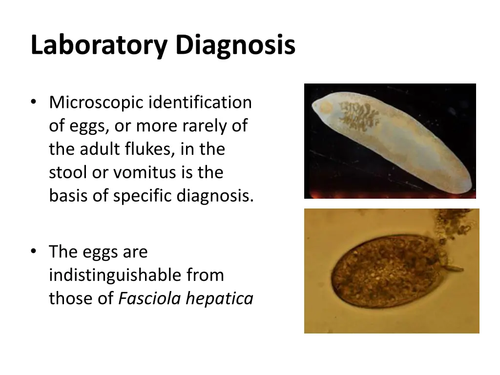 laboratory diagnosis 3