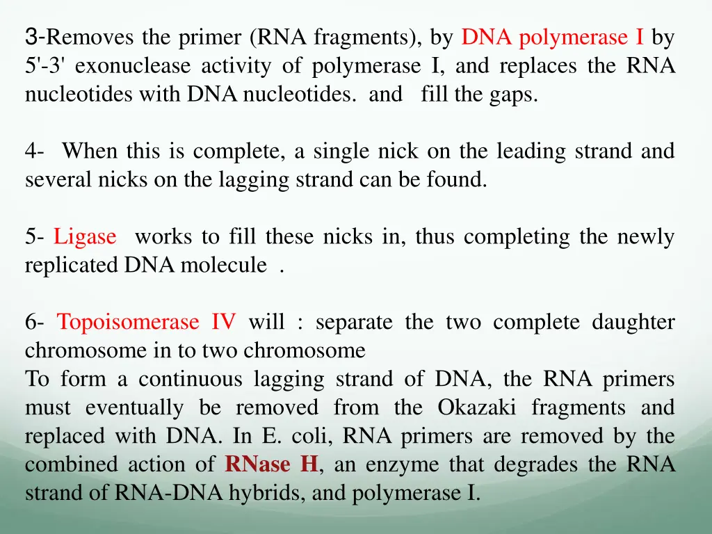 3 removes the primer rna fragments