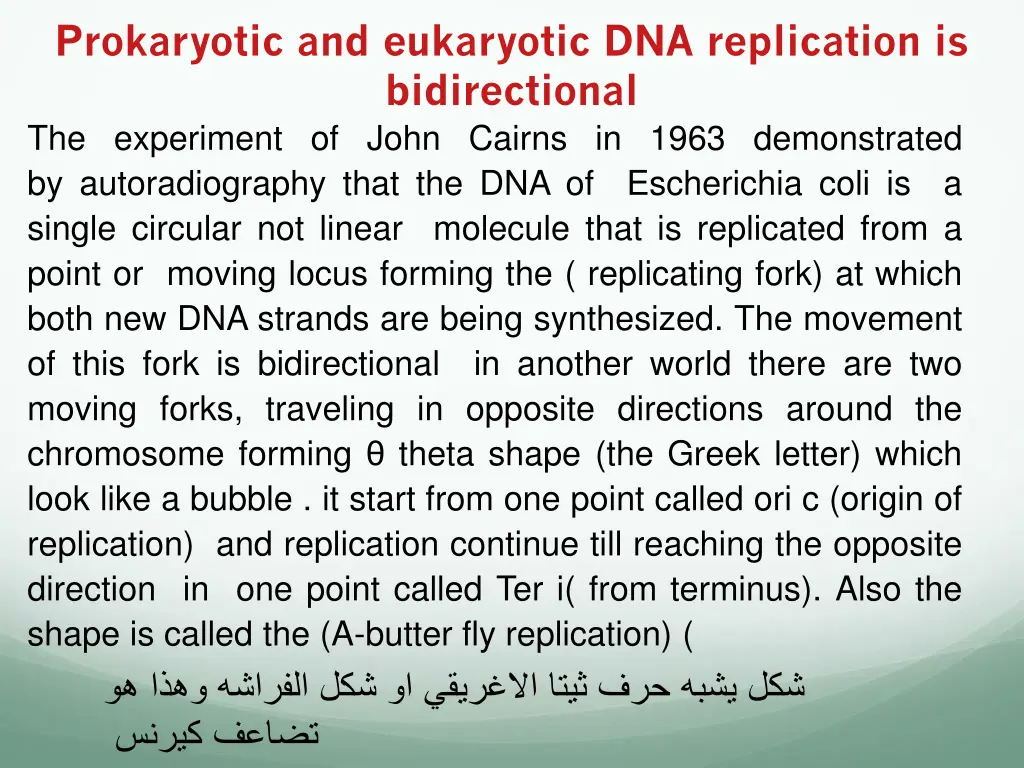 prokaryotic and eukaryotic dna replication
