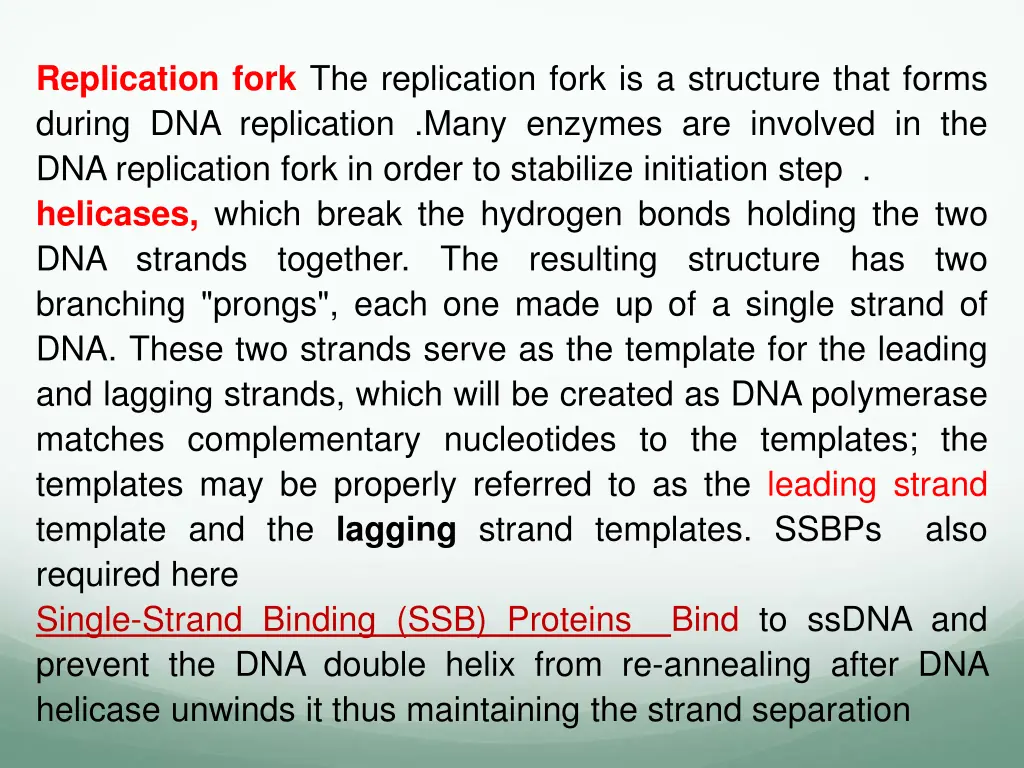 replication fork the replication fork