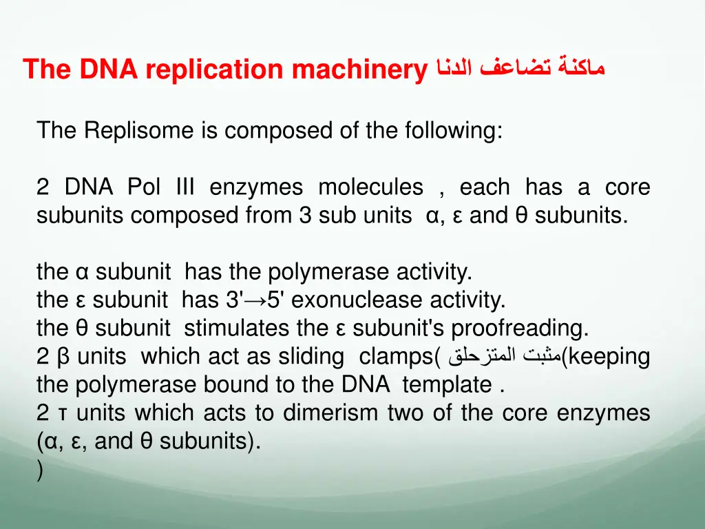 the dna replication machinery