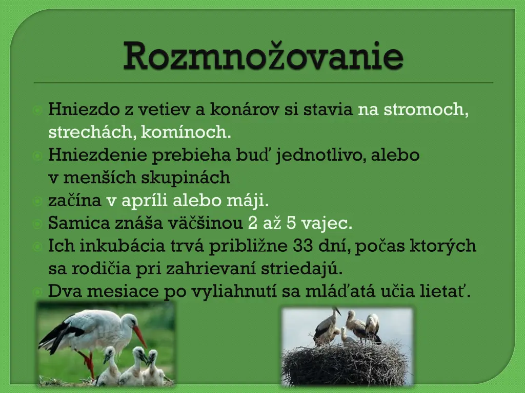 hniezdo z vetiev a kon rov si stavia na stromoch