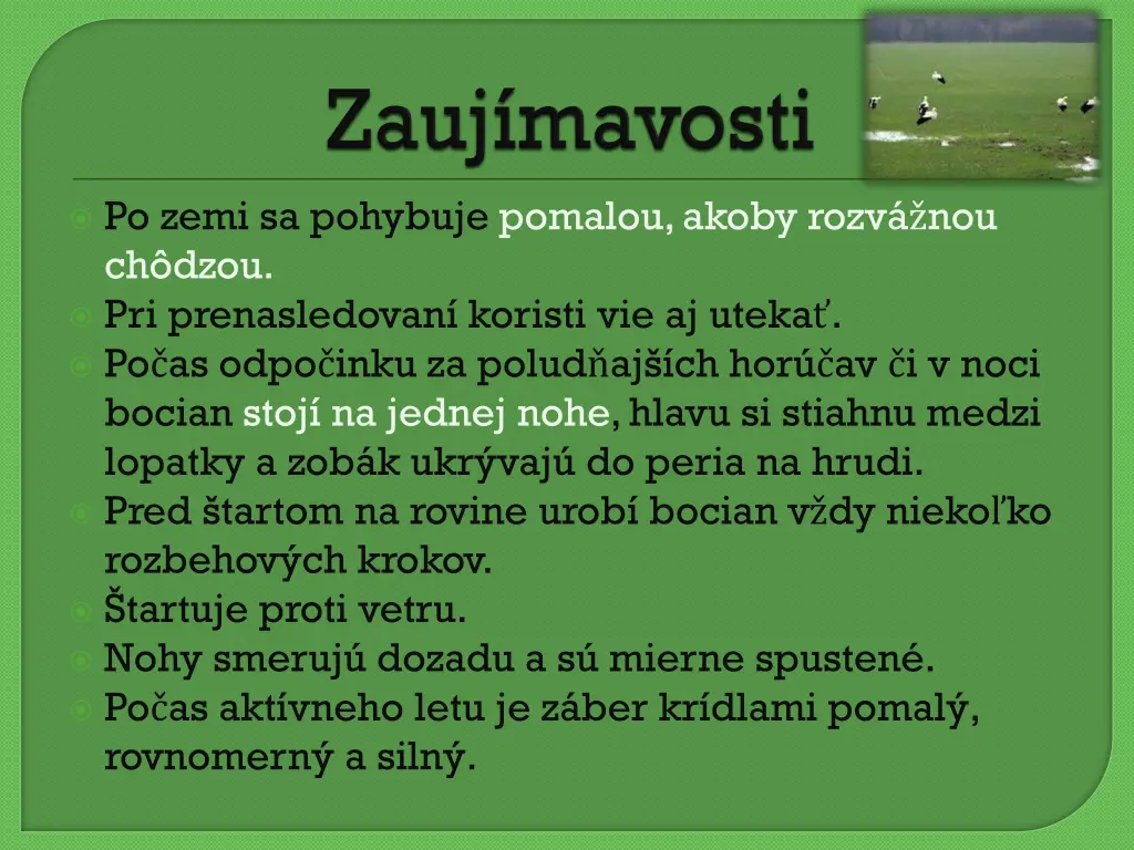 po zemi sa pohybuje pomalou akoby rozv