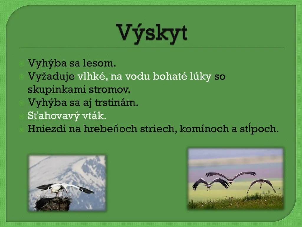 vyh ba sa lesom vy aduje vlhk na vodu bohat