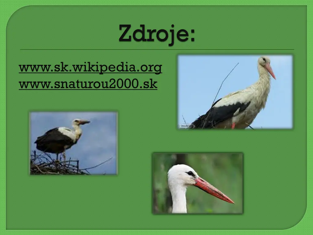 www sk wikipedia org www snaturou2000 sk