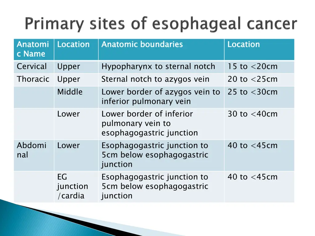 anatomi c name cervical thoracic