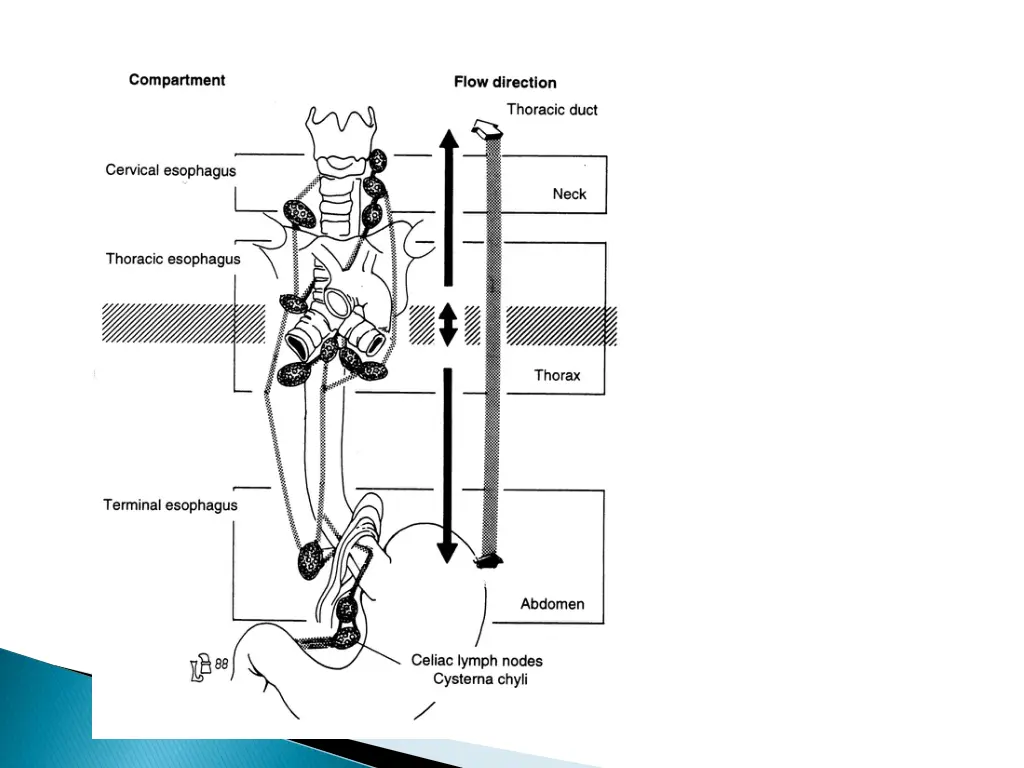slide30