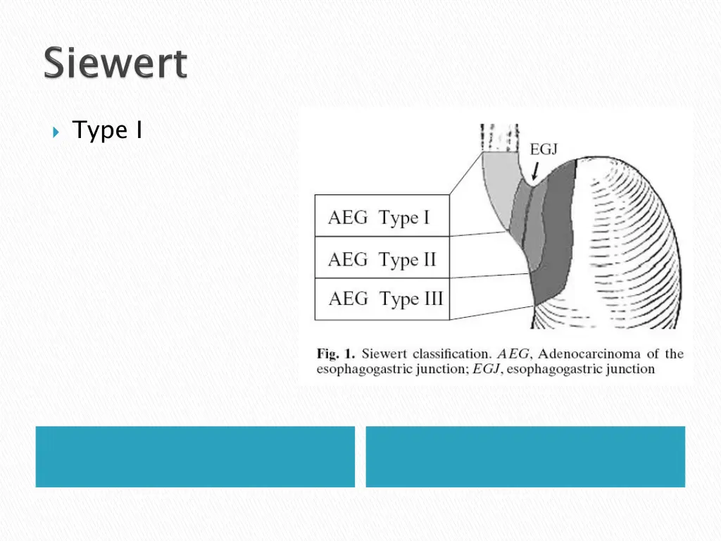 type i
