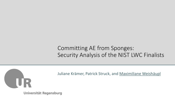 committing ae from sponges security analysis