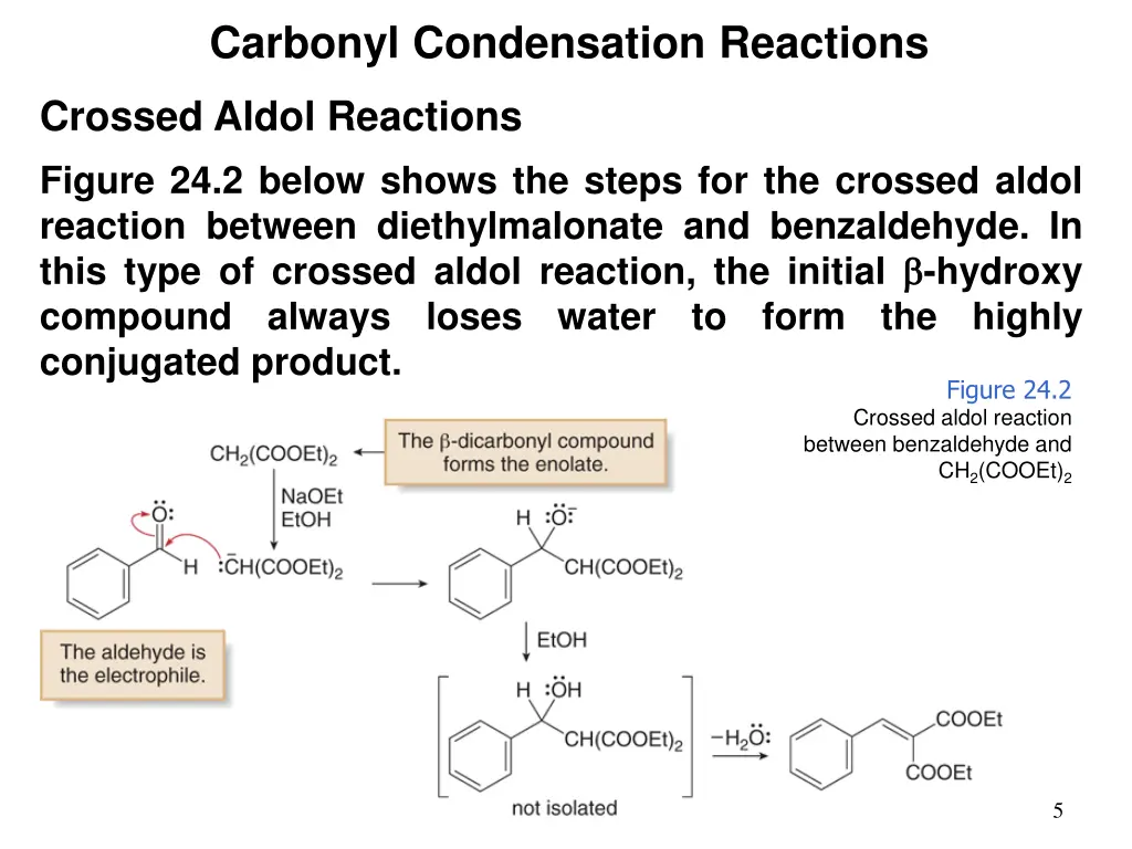 carbonyl condensation reactions 1