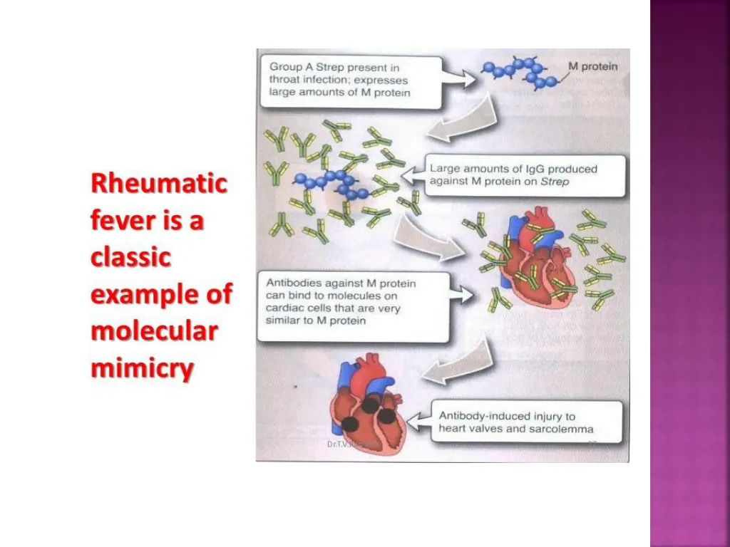 slide13