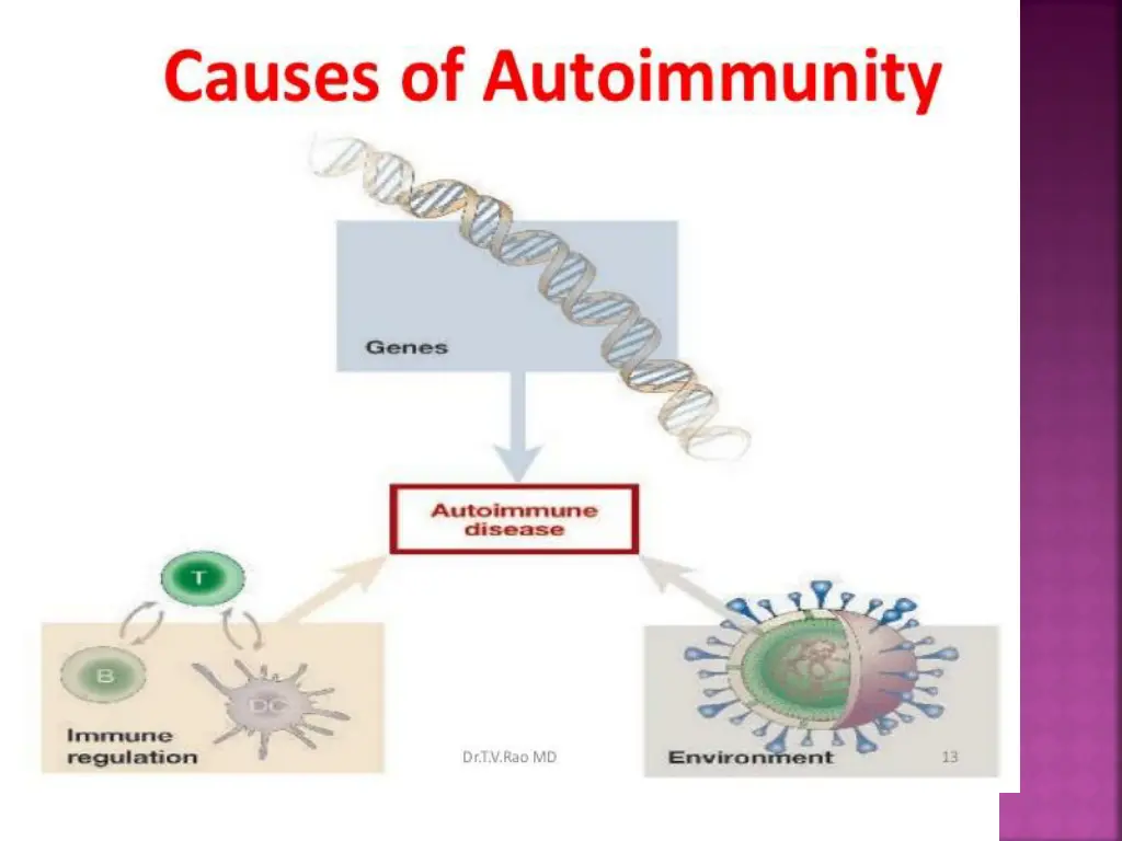 slide8