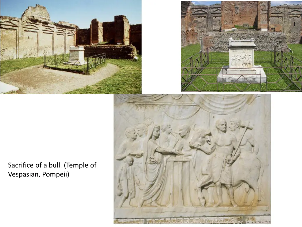 sacrifice of a bull temple of vespasian pompeii