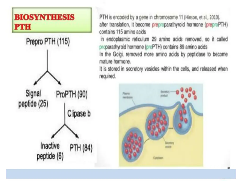 slide5