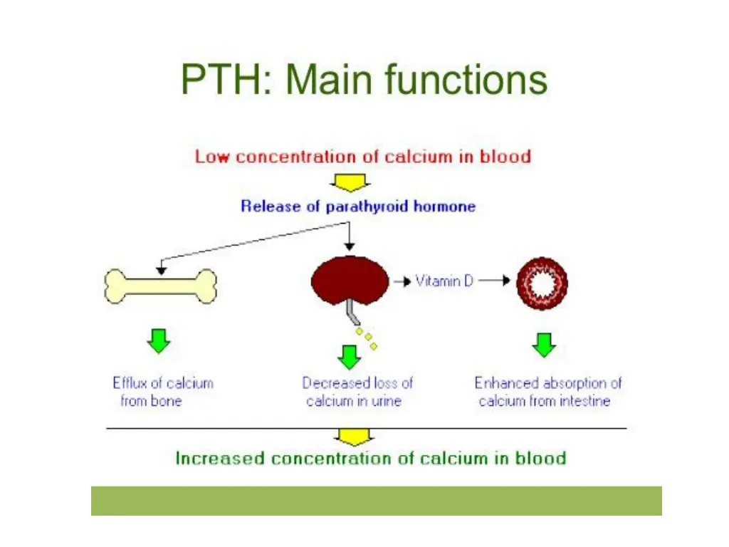 slide8
