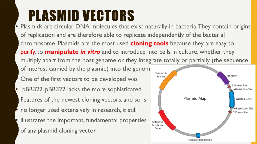 plasmid vectors plasmids are circular