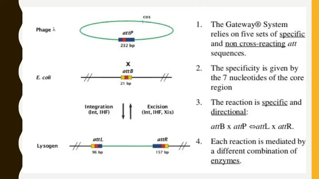 slide11