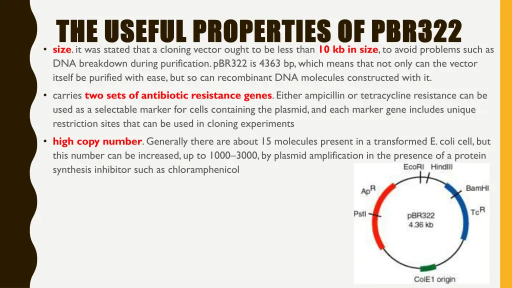 the useful properties of pbr322 the useful