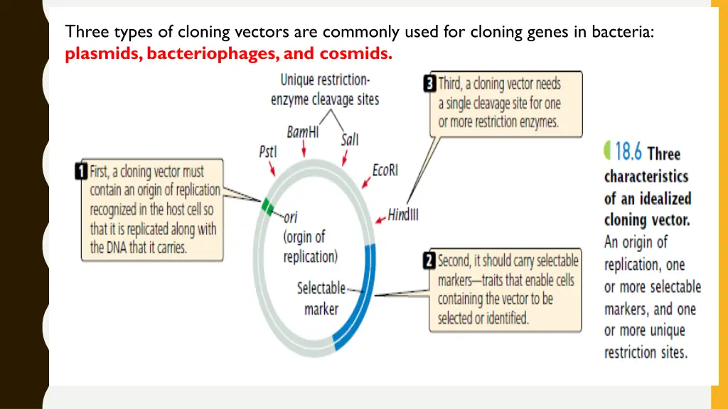 three types of cloning vectors are commonly used